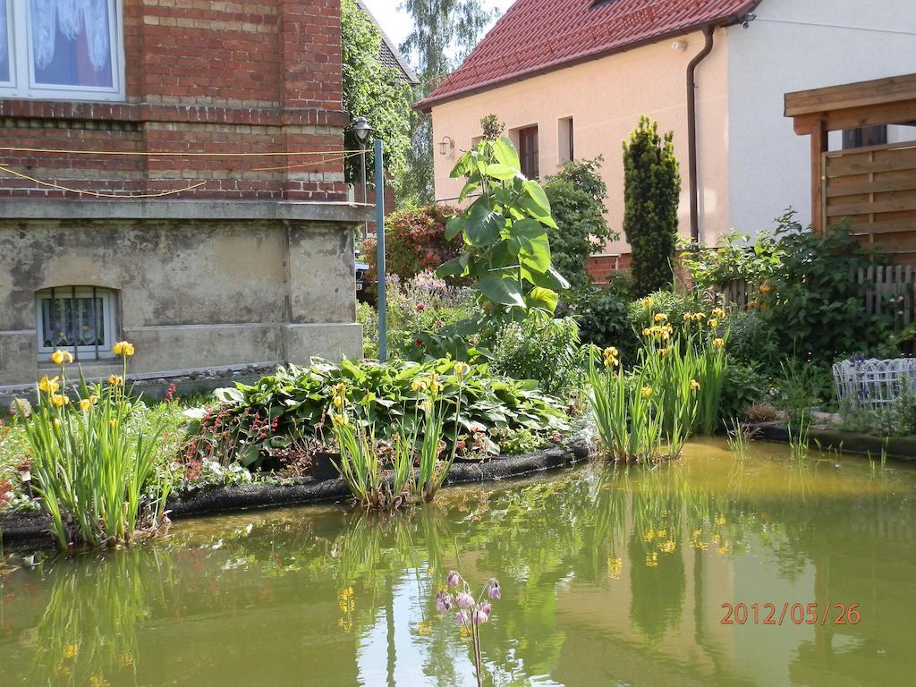 Ferienwohnung Fedler Blankenburg  Ruang foto